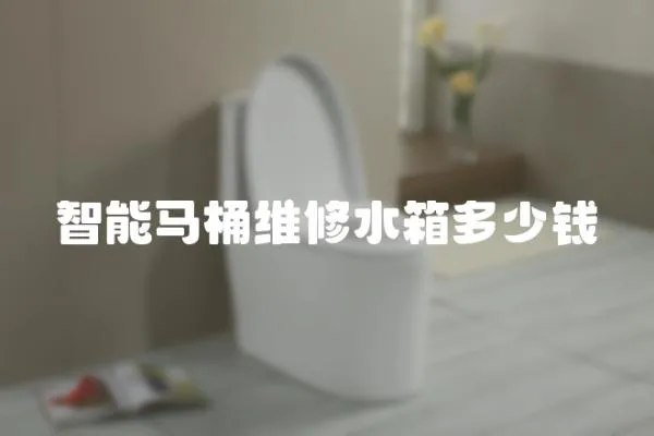 智能馬桶維修水箱多少錢