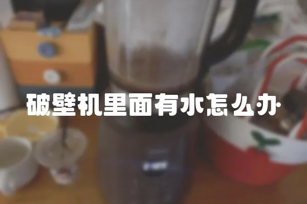 破壁機里面有水怎么辦