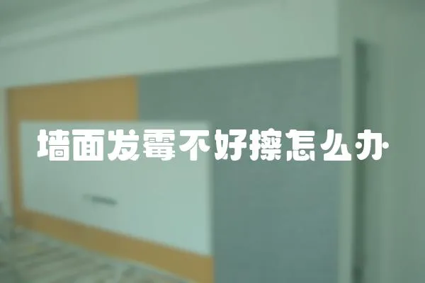 墻面發(fā)霉不好擦怎么辦