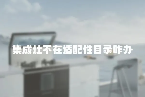 集成灶不在適配性目錄咋辦