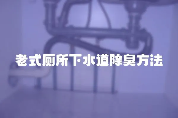 老式廁所下水道除臭方法