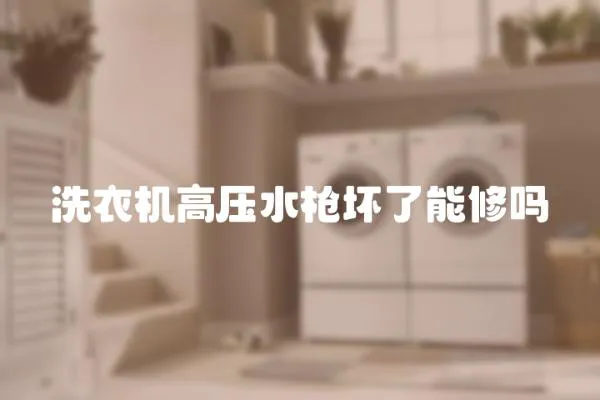 洗衣機高壓水槍壞了能修嗎