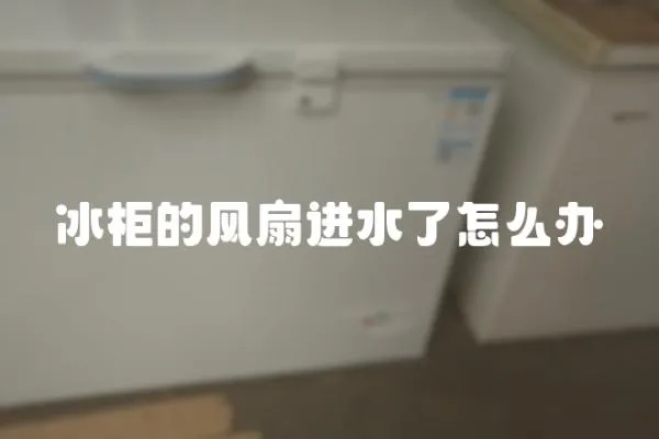 冰柜的風扇進水了怎么辦