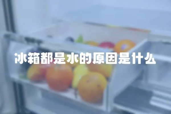 冰箱都是水的原因是什么