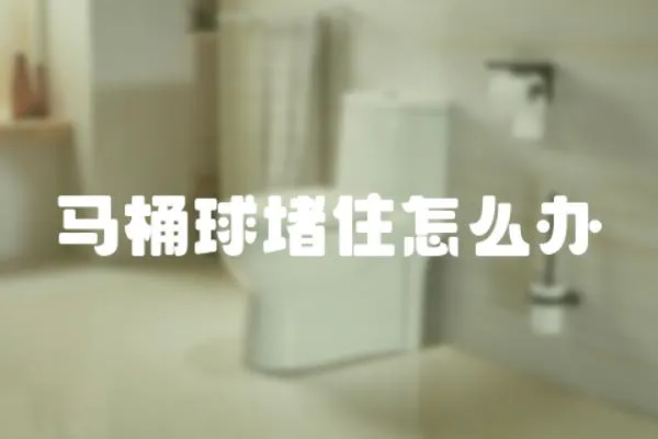 馬桶球堵住怎么辦