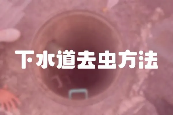 下水道去蟲方法