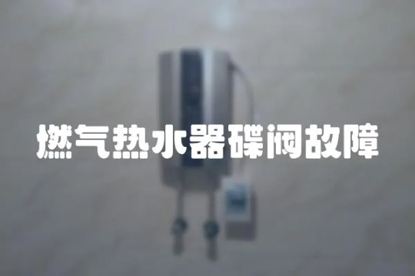 燃?xì)鉄崴鞯y故障