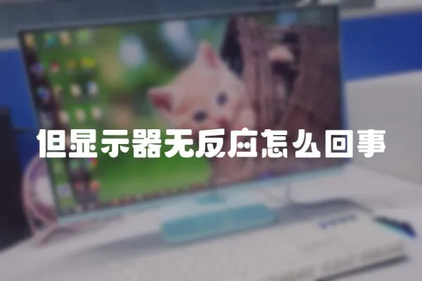 但顯示器無反應怎么回事