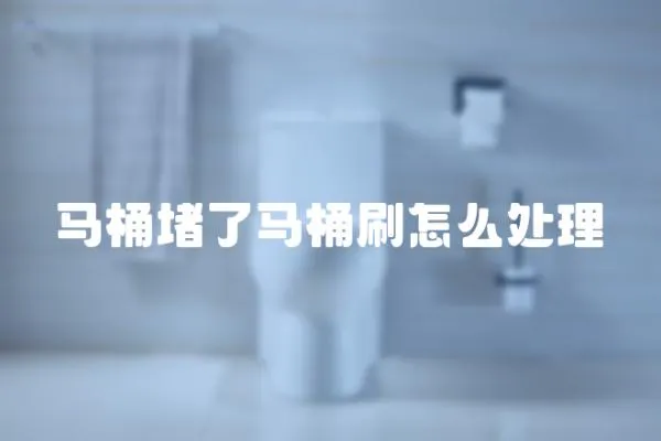 馬桶堵了馬桶刷怎么處理