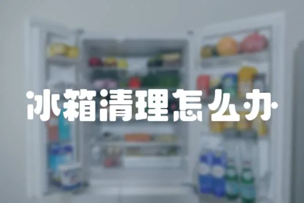 冰箱清理怎么辦