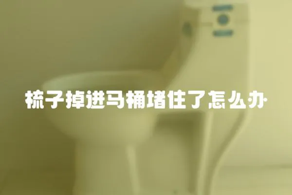 梳子掉進馬桶堵住了怎么辦