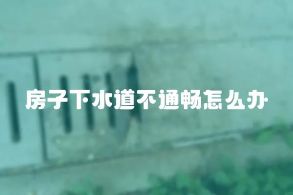 房子下水道不通暢怎么辦