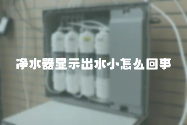 凈水器顯示出水小怎么回事