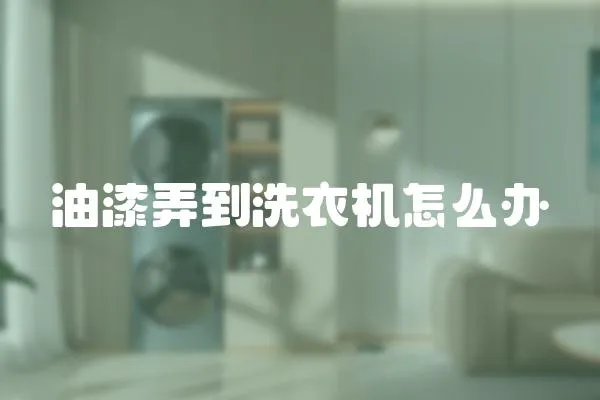 油漆弄到洗衣機怎么辦
