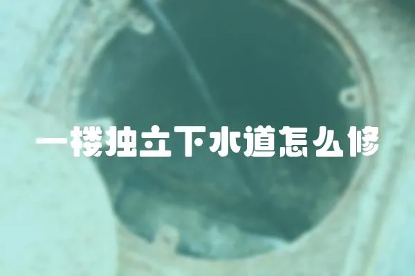 一樓獨立下水道怎么修