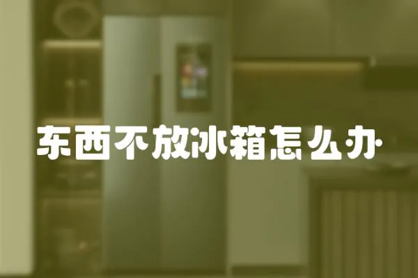 東西不放冰箱怎么辦