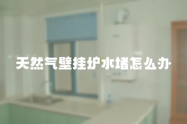 天然氣壁掛爐水堵怎么辦