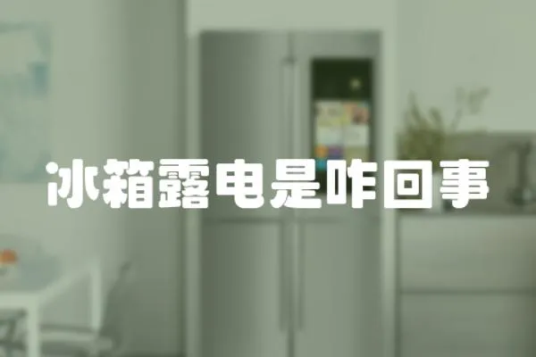 冰箱露電是咋回事