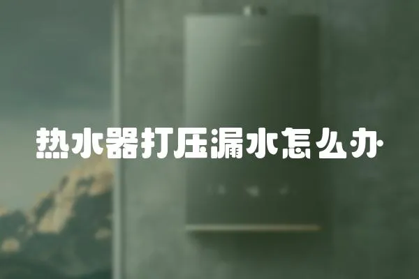 熱水器打壓漏水怎么辦