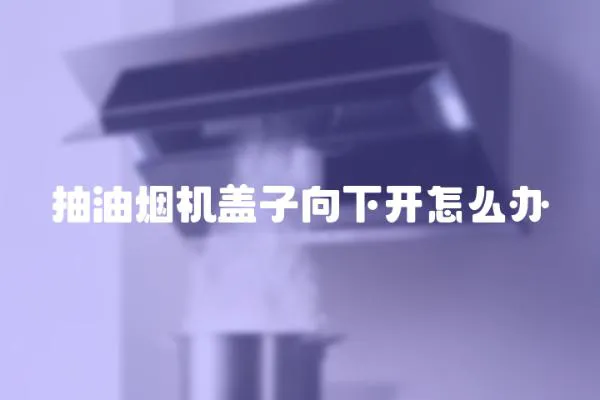 抽油煙機蓋子向下開怎么辦