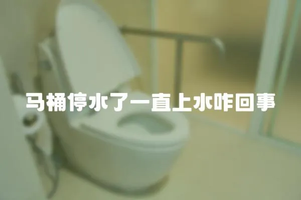 馬桶停水了一直上水咋回事