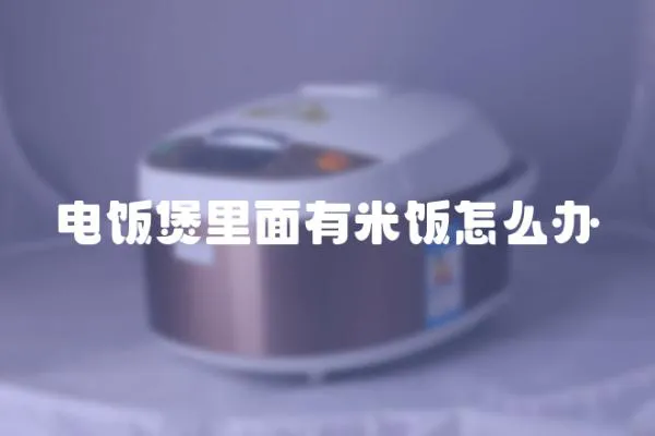電飯煲里面有米飯怎么辦
