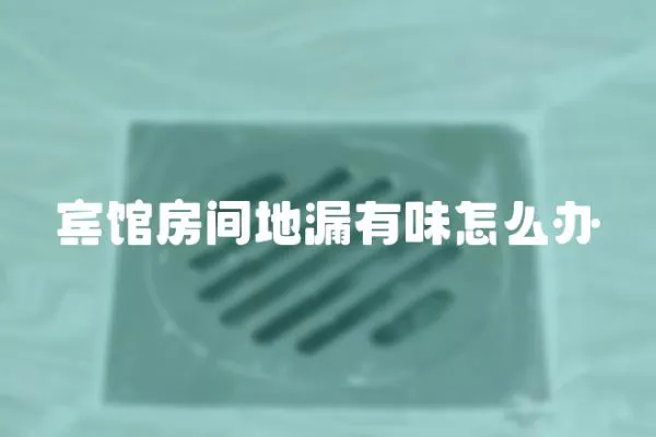賓館房間地漏有味怎么辦