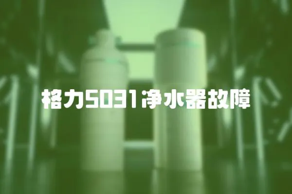 格力5031凈水器故障
