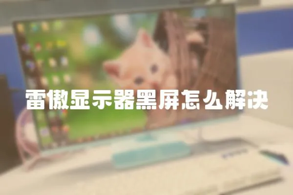 雷傲顯示器黑屏怎么解決
