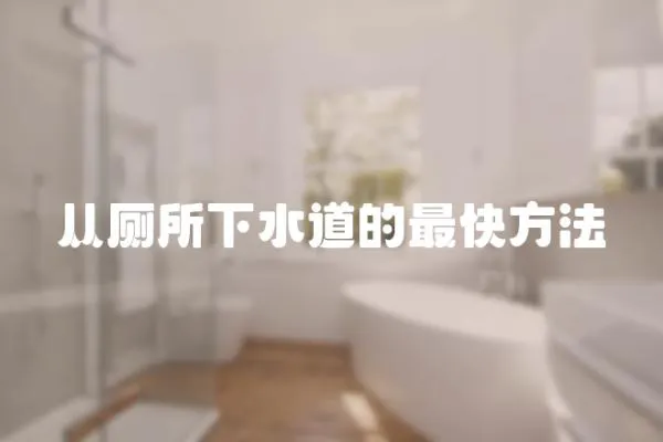 從廁所下水道的最快方法