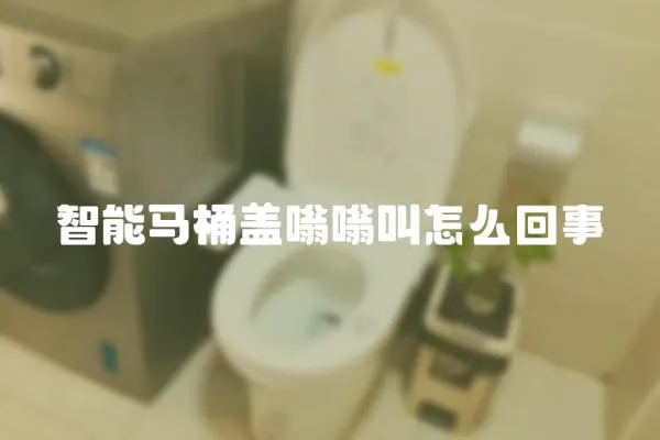 智能馬桶蓋嗡嗡叫怎么回事