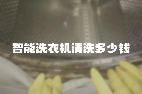 智能洗衣機清洗多少錢