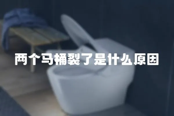 兩個馬桶裂了是什么原因