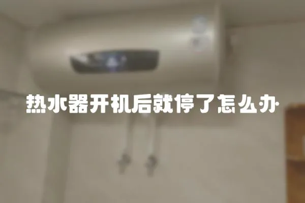 熱水器開(kāi)機(jī)后就停了怎么辦