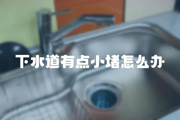 下水道有點(diǎn)小堵怎么辦