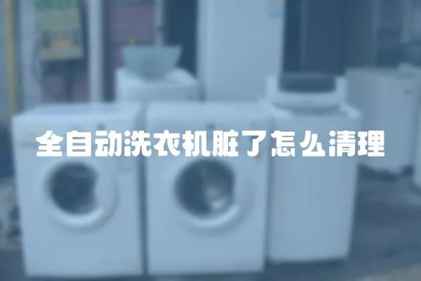 全自動(dòng)洗衣機(jī)臟了怎么清理