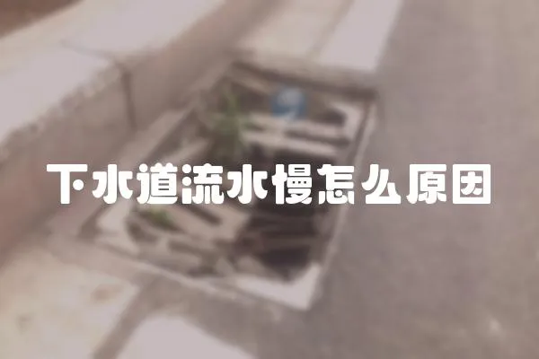 下水道流水慢怎么原因