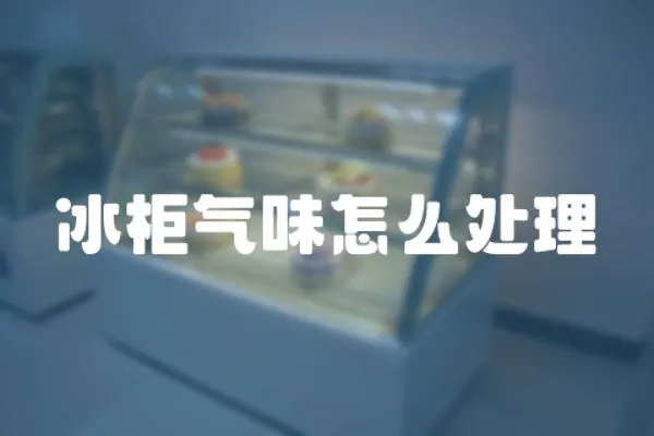 冰柜氣味怎么處理