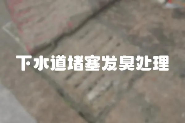 下水道堵塞發(fā)臭處理