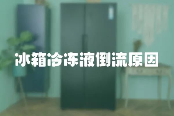 冰箱冷凍液倒流原因