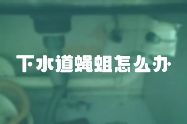 下水道蠅蛆怎么辦