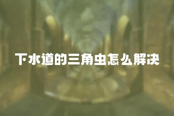 下水道的三角蟲怎么解決