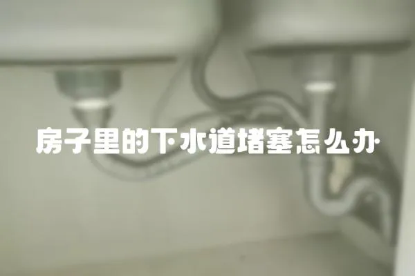 房子里的下水道堵塞怎么辦