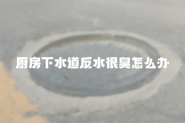 厨房下水道反水很臭怎么办