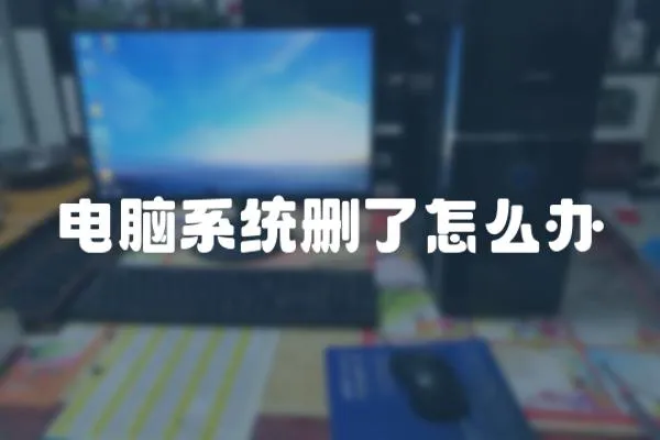 電腦系統刪了怎么辦