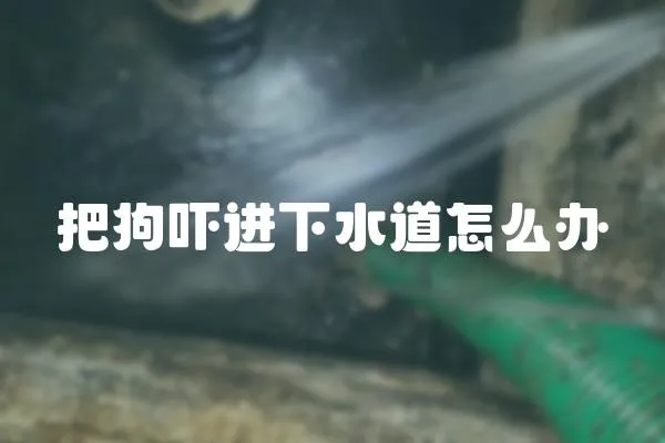 把狗嚇進下水道怎么辦