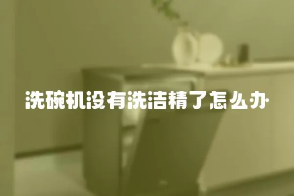 洗碗機沒有洗潔精了怎么辦