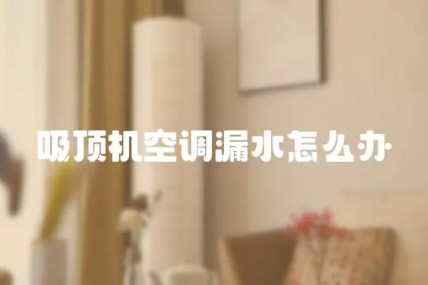 吸頂機(jī)空調(diào)漏水怎么辦
