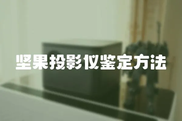 堅果投影儀鑒定方法