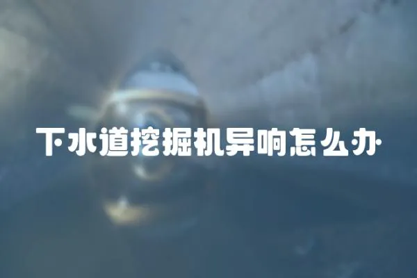 下水道挖掘機異響怎么辦